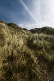 beach and sky
