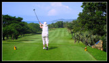 Gill - Southbroom Golf Club