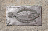Yellowtail Flounder