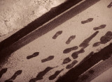 walking the line