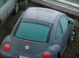 frosty the bug