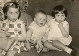 scan0006.jpg