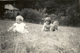 scan0030.jpg