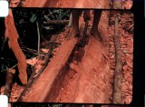 16mm_FW4E1832F_032147.jpg