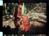 16mm_FW4E1832_002068.jpg