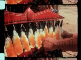 16mm_FW4E1835_005604.jpg