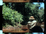 16mm_FW4E1835_015831.jpg