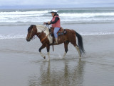 Frances and Paso Fino ex stallion, sire of Quincey and Shiloh