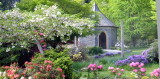 Rhody garden