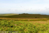 Doe Tor, from below Sharp Tor.