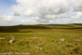 From the bottom of Fur Tor, towards Great Links in the distance on right and Hare Tor left distance. I hope!