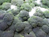 broccoli 294.jpg