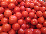 tomatos 295.jpg