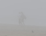 a foggy day at the beach 375.jpg