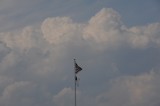 clouds sky and flags 496.jpg