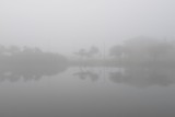 foggy morning 585.jpg