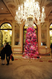 Eloise Tree NYC Plaza Hotel 835.jpg