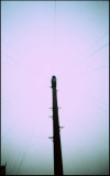 telegraph pole against a darkening sky