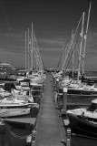 pontoon bw