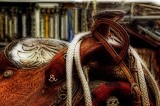 Saddle