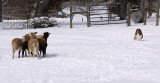 Gunner_0197w.jpg