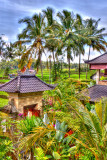 Villa Ibu - Ubud Bali