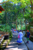 Bali-Ubud-Monkey Forest