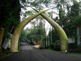 Taman Safari Bogor/Puncak Indonesia
