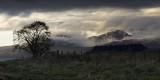 pbase near stalker 1753  April  2011 1 of 1.jpg