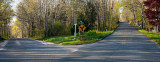 pbase a fork in the middle  of the road day April 28 2012_.jpg