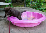 In and Out July 10 2012 day 4.jpg