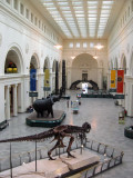 Field Museum