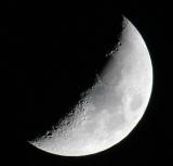 IMG_4511-100.jpg