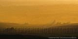Golden Glow in the Palouse Country 48x24.jpg