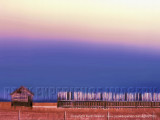 Storm Shelter - 24x18.jpg