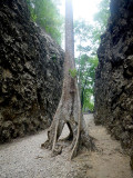 Kanchanaburi
