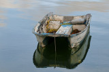AAC_8969.jpg