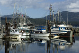 DSC_6903.jpg