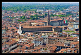 Florencia