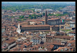 Florencia