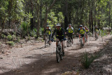 MTB0019.JPG
