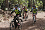 MTB0020.JPG