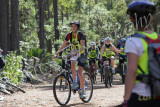 MTB0035.JPG
