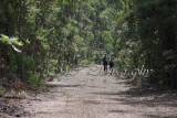 Action0034 copy.jpg