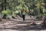 Action0045 copy.jpg