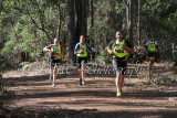 Action0048 copy.jpg