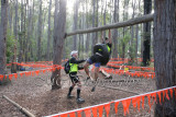 LowRopes0011 copy.jpg