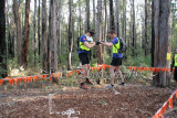 LowRopes0019 copy.jpg
