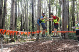 LowRopes0090 copy.jpg