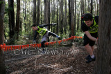 LowRopes0102 copy.jpg